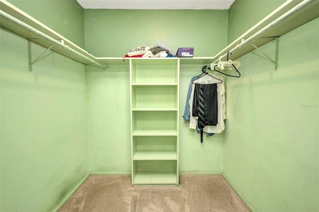 spacious closet featuring carpet flooring