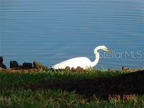 25511 Heritage Lake Blvd Unit 8, Punta Gorda, FL 33983 - photo 40