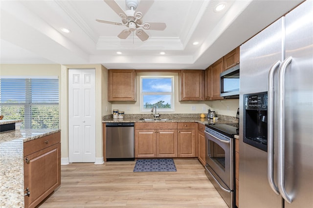kitchen with a raised ceiling, appliances with stainless steel finishes, a sink, and a wealth of natural light