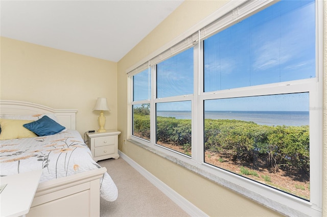 bedroom featuring a water view, baseboards, and carpet floors