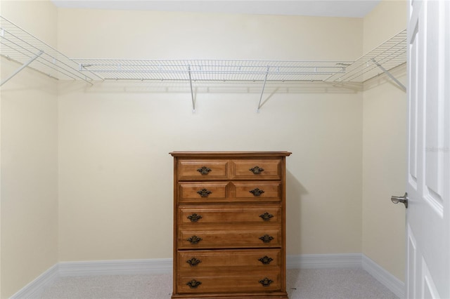view of walk in closet