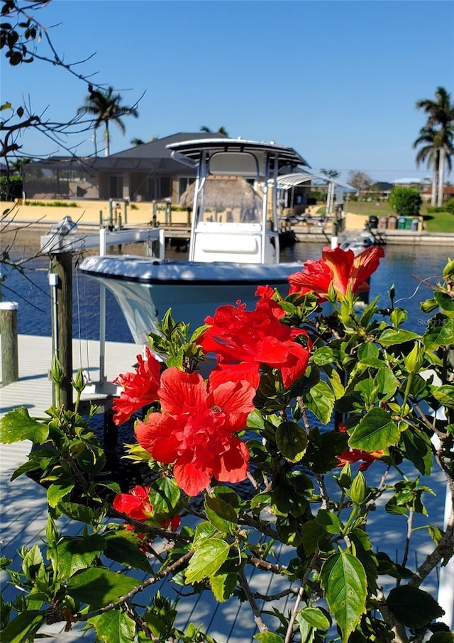4320 SW 26th Ave, Cape Coral, FL 33914 - photo 43