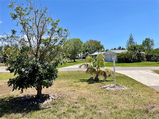 view of yard with concrete driveway