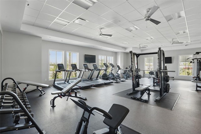 16079 Bandermill Dr, Port Charlotte, FL 33953 - gym featuring a ceiling fan, a paneled ceiling, and baseboards
