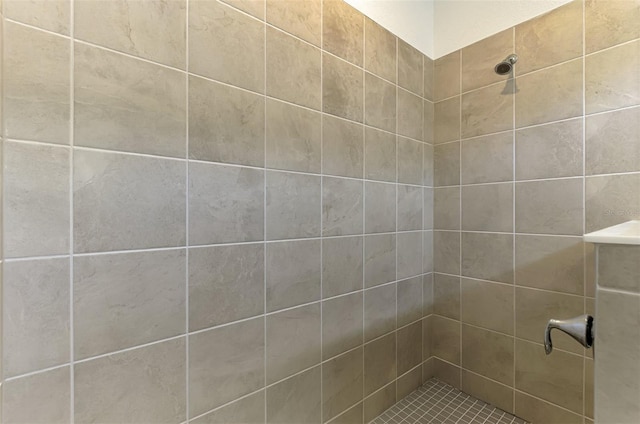 10995 Pinot Dr, Venice, FL 34293 - bathroom featuring a tile shower