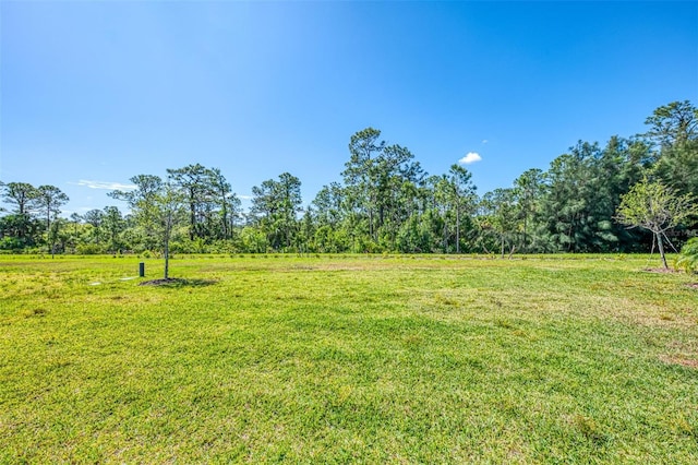 10995 Pinot Dr, Venice, FL 34293 - view of yard