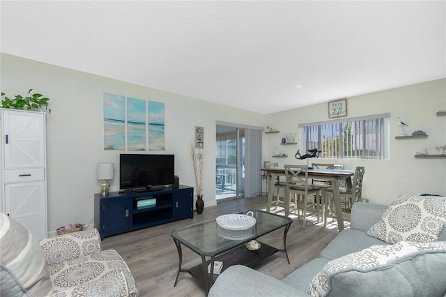 22375 Edgewater Dr Unit 123, Punta Gorda, FL 33980 - living room featuring light wood-style flooring