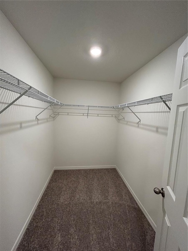 70 Karas Trl, Palm Coast, FL 32164 - walk in closet featuring carpet