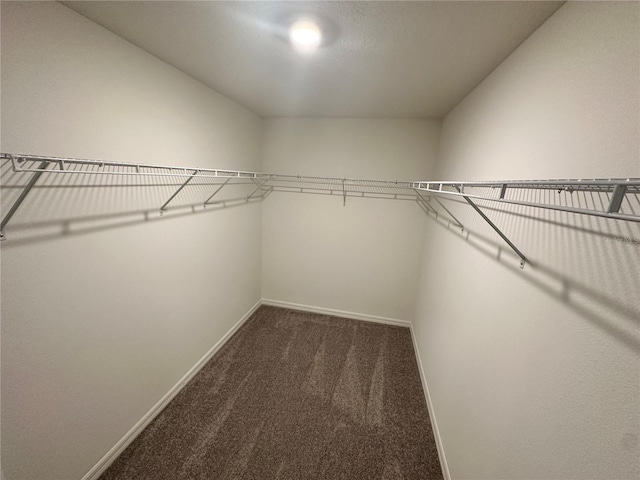 17 Luther Dr, Palm Coast, FL 32137 - spacious closet featuring carpet floors