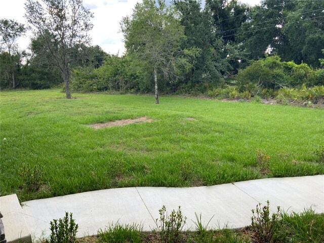 1201 NE Childress Ave, Arcadia, FL 34266 - photo 50