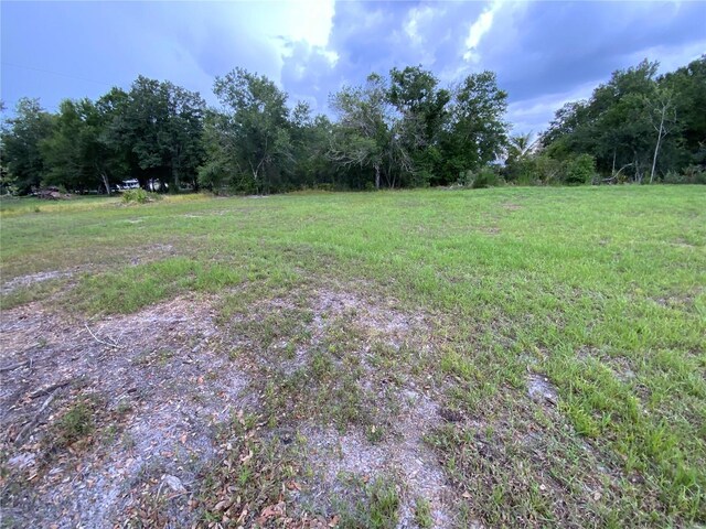 1201 NE Childress Ave, Arcadia, FL 34266 - photo 59
