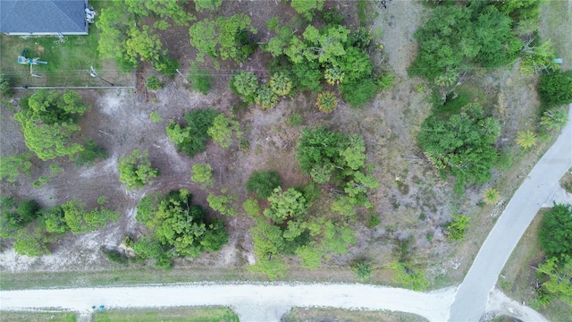 13031 Penrod Dr, Punta Gorda, FL 33955