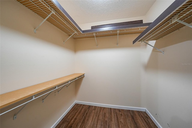 376 Portofino Dr, Punta Gorda, FL 33950 - spacious closet with dark wood-style floors