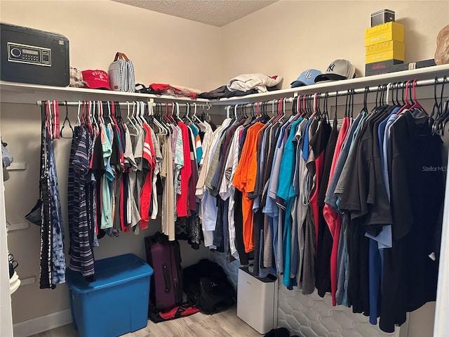 walk in closet featuring wood finished floors