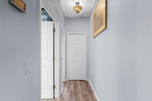 2911 Riverside Dr, Punta Gorda, FL 33950 - corridor featuring light wood-style floors and baseboards