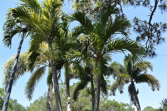5301 Linksman Pl, North Port, FL 34287 - water view