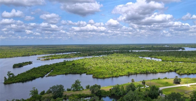 8596 SW Riverside Dr, Arcadia, FL 34269 - bird's eye view of a heavily wooded area and a large body of water