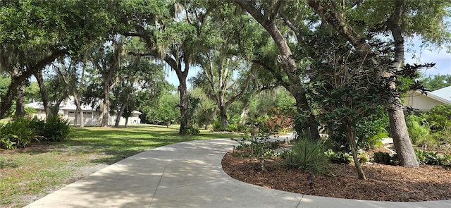 8596 SW Riverside Dr, Arcadia, FL 34269 - surrounding community with a yard