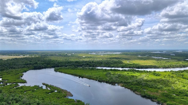 8596 SW Riverside Dr, Arcadia, FL 34269 - bird's eye view of a heavily wooded area and a nearby body of water
