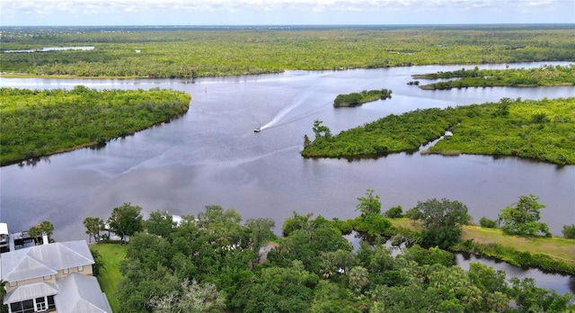 8596 SW Riverside Dr, Arcadia, FL 34269 - bird's eye view of a heavily wooded area and a large body of water