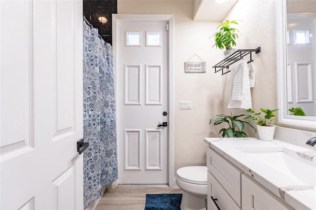 7192 SW Albritton St, Arcadia, FL 34266 - bathroom with vanity, toilet, healthy amount of natural light, and wood finished floors