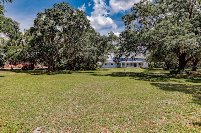 7192 SW Albritton St, Arcadia, FL 34266 - view of green lawn