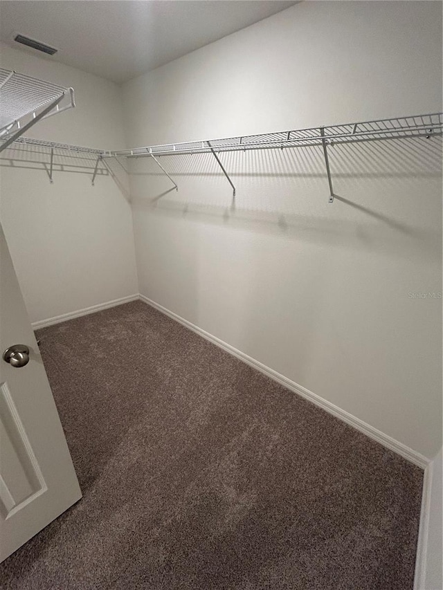 6 Whittier Ln, Palm Coast, FL 32164 - spacious closet with carpet flooring