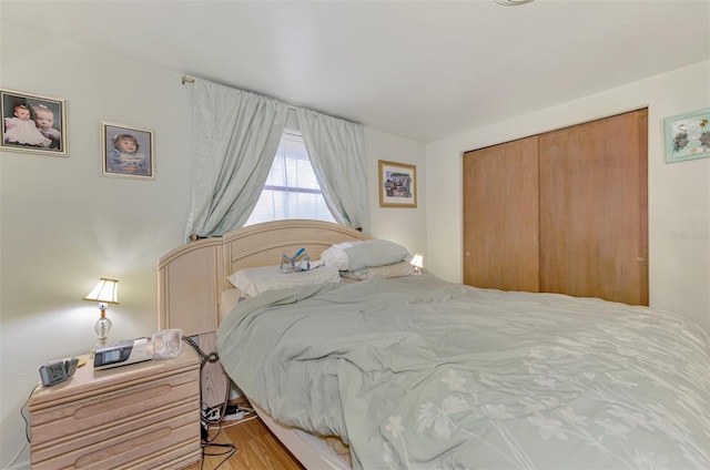 12018 Saragossa Ln, North Port, FL 34287 - bedroom featuring a closet and wood finished floors