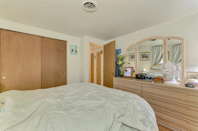 12018 Saragossa Ln, North Port, FL 34287 - bedroom with a closet