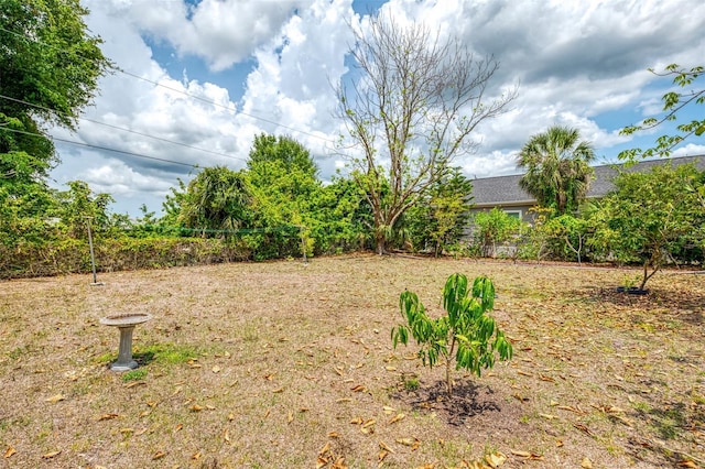 12018 Saragossa Ln, North Port, FL 34287 - view of yard