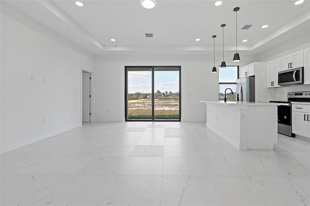 kitchen with stainless steel appliances, a tray ceiling, recessed lighting, open floor plan, and healthy amount of natural light
