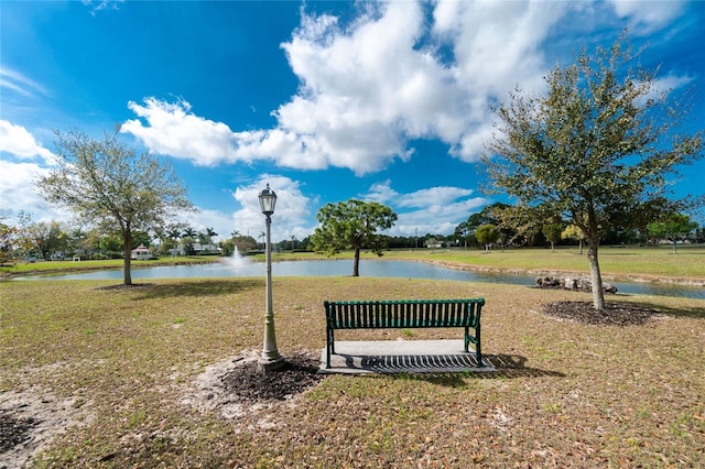 25046 Doredo Dr, Punta Gorda, FL 33955 - surrounding community featuring a water view and a yard