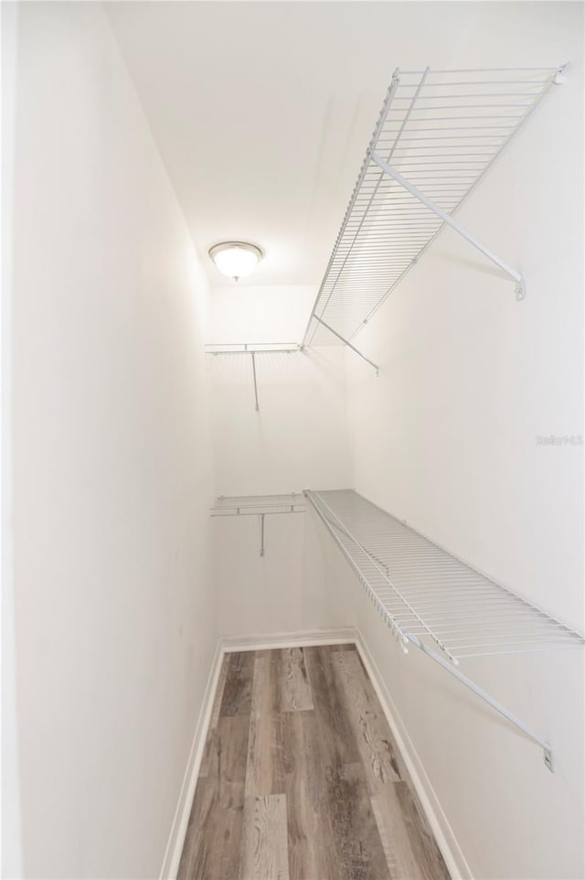 walk in closet featuring wood finished floors
