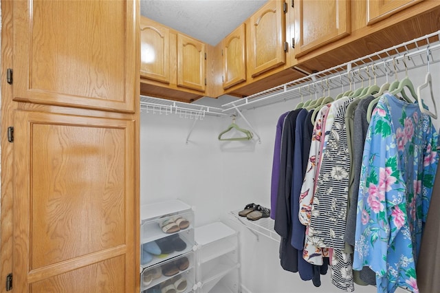 27038 San Jorge Dr, Punta Gorda, FL 33983 - view of spacious closet
