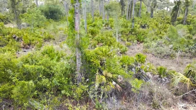 27445 Chrysalis Dr, Punta Gorda, FL 33955
