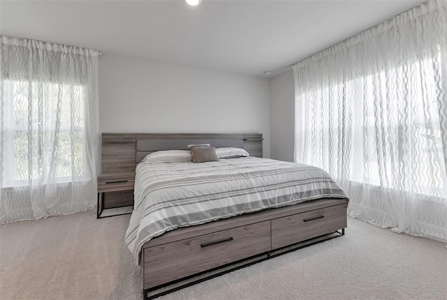 7664 Meroni Blvd, North Port, FL 34291 - bedroom featuring carpet flooring