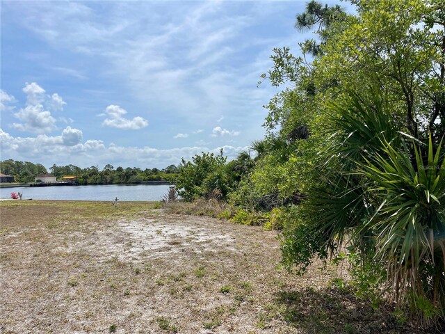 2336 Hale St, Port Charlotte, FL 33953 - photo 2