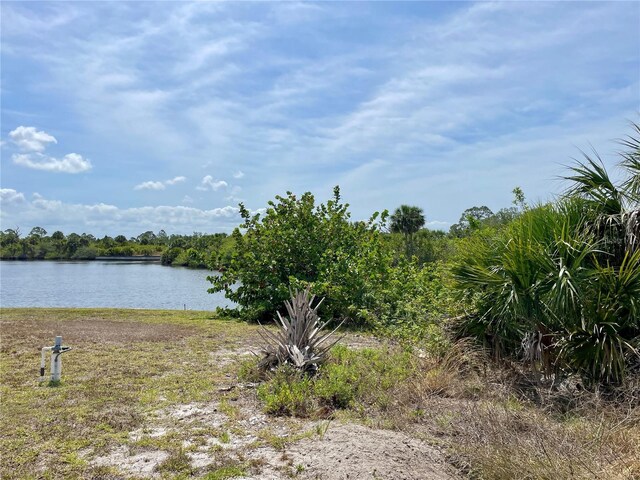 2336 Hale St, Port Charlotte, FL 33953 - photo 4