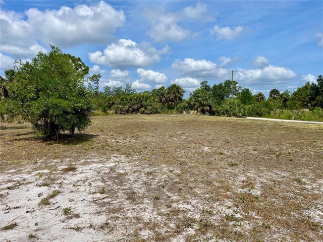 2336 Hale St, Port Charlotte, FL 33953 - photo 5