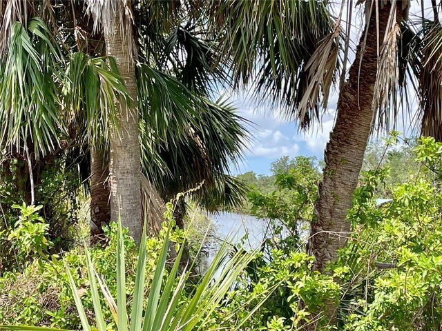 2336 Hale St, Port Charlotte, FL 33953 - photo 7
