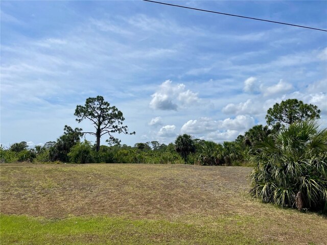 2336 Hale St, Port Charlotte, FL 33953 - photo 9