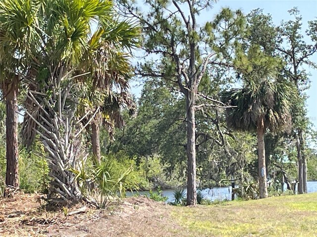 2336 Hale St, Port Charlotte, FL 33953 - photo 14