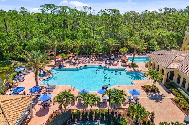 181 Padova Way Unit 19, Nokomis, FL 34275 - photo 46