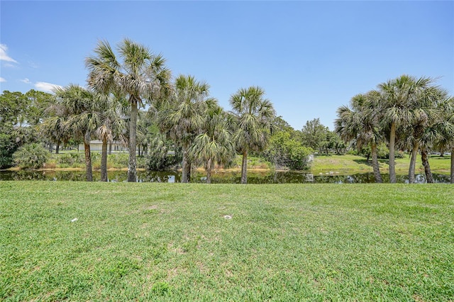 19505 Quesada Ave Unit M104, Port Charlotte, FL 33948 - view of grassy yard featuring a water view and view of wooded area