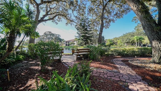 19505 Quesada Ave Unit M104, Port Charlotte, FL 33948 - view of yard