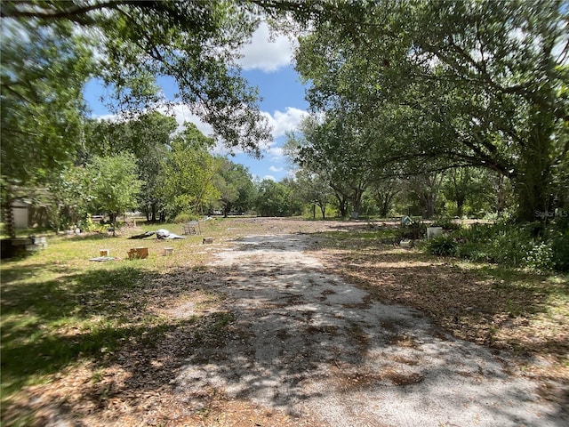1456 NE Forrest Ave, Arcadia, FL 34266