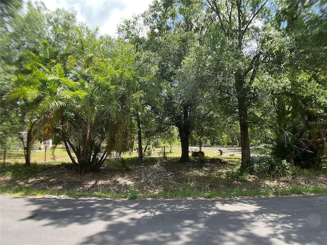 1456 NE Forrest Ave, Arcadia, FL 34266