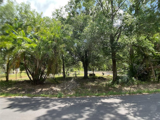 1456 NE Forrest Ave, Arcadia, FL 34266