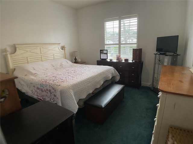 1961 Palo Duro Blvd, North Fort Myers, FL 33917 - bedroom with carpet