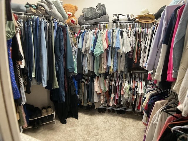 1961 Palo Duro Blvd, North Fort Myers, FL 33917 - walk in closet with carpet flooring